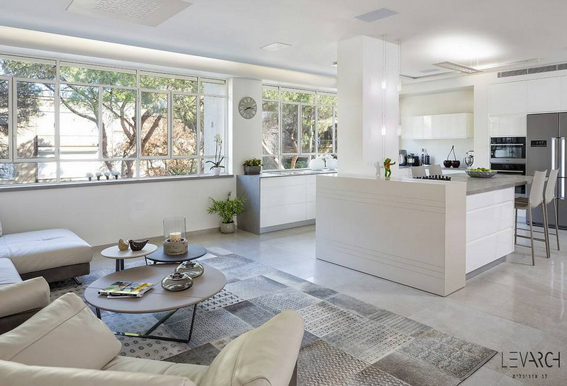 חלונות צרפתים